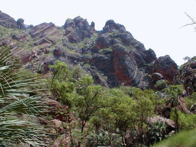 P1010108.JPG