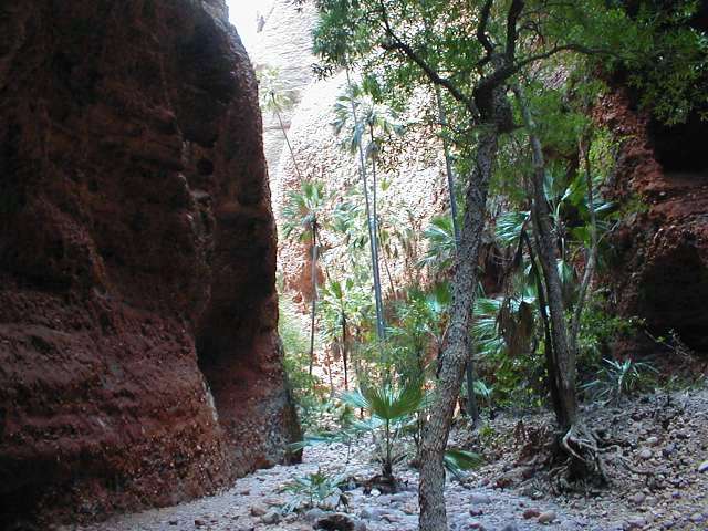 P1010111.JPG
