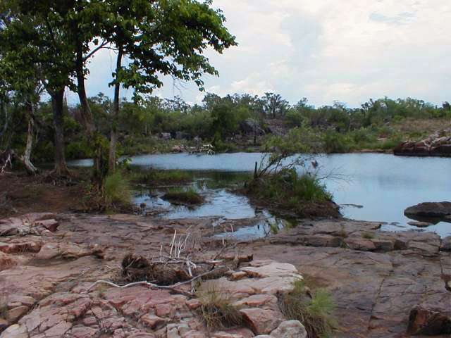 PA150123.JPG