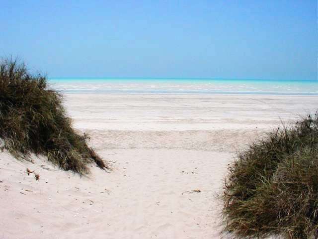PA230168.JPG