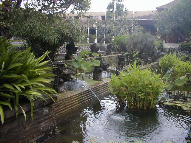PB190291.JPG