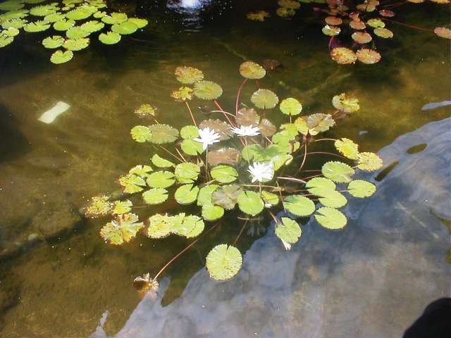 PB210308.JPG