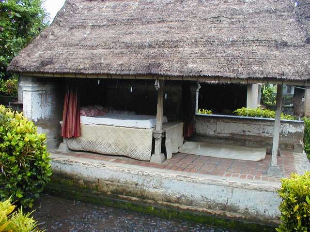 PB220342.JPG
