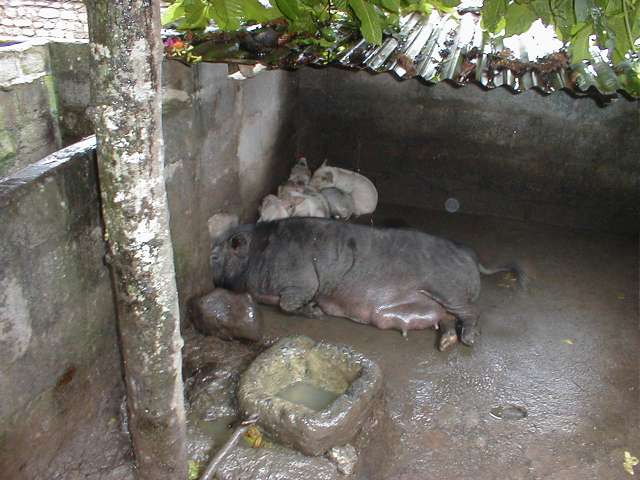 PB220344.JPG